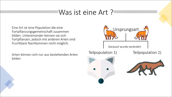 Illustration zur Artbildung in der Biologie: Ursprungsart teilt sich, Genpool verändert sich, neue Teilpopulationen entstehen.
