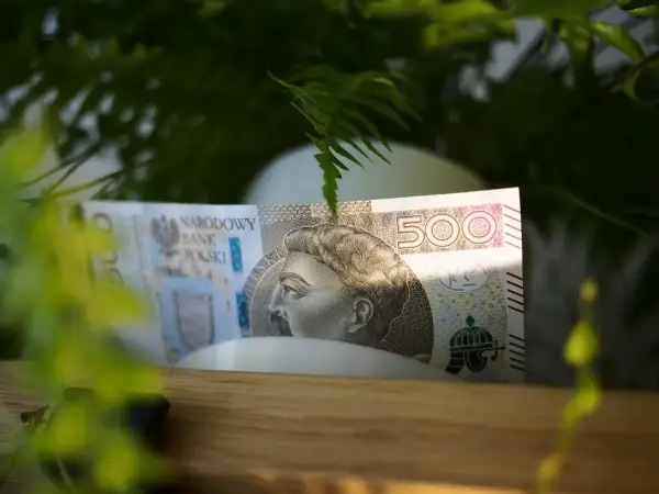 Pięćset złotych ukryte wśród zieleni. Może to początek oszczędzania na coś wyjątkowego, albo po prostu zasiedzenie w naturze z pieniędzmi.