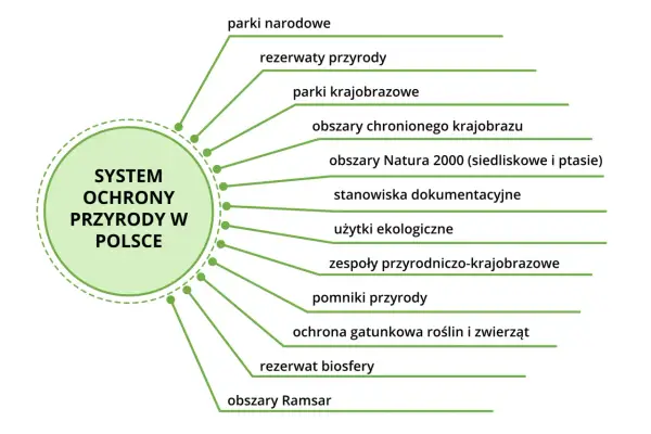 Schemat systemu ochrony przyrody w Polsce z wypisanymi 9 kluczowymi typami.