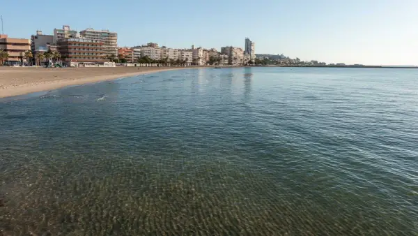 El mar Mediterráneo baña la arena dorada de la playa Levante en Santa Pola, con edificios modernos y palmeras al fondo.