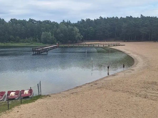 Jezioro Kamionki pod Toruniem - plaża, ceny i dojazd