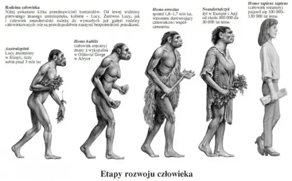 Ewolucja demokracji na przestrzeni wieków: kluczowe zmiany i postacie