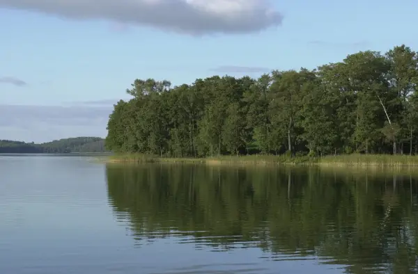 Spokojne jezioro najgłębsze w Polsce, z odbijającym się w wodzie gęstym lasem i błękitnym niebem z chmurami.