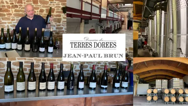 Jean-Paul Brun, vigneron du Domaine des Terres Dorées, présente ses vins. La cave et les cuves de vinification sont visibles.