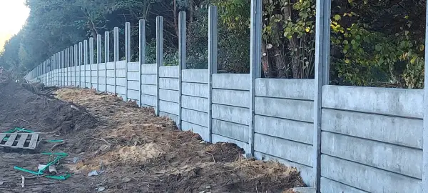 Nowe betonowe słupki ogrodzeniowe czekają na zalanie. Solidna konstrukcja wzdłuż leśnej ścieżki.