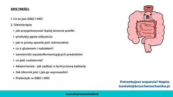 Ilustracja przedstawia jelita, które mogą być powiązane z **sibo przyczyny**. Spis treści omawia dietoterapię i sposoby radzenia sobie z problemami jelitowymi.