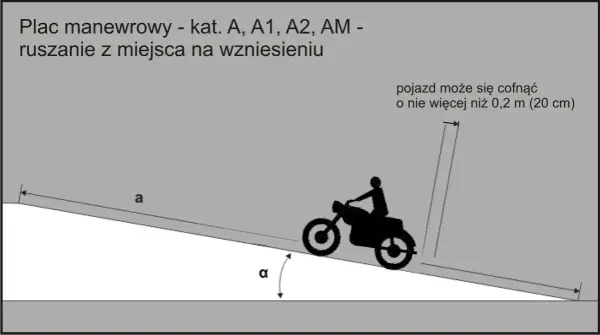 Jak wygląda egzamin teoretyczny na prawo jazdy? Przebieg, pytania i porady
