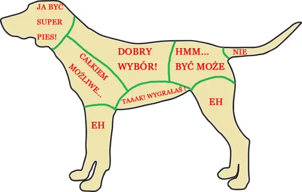 Mapa pokazuje, gdzie psy lubią być głaskane: od "Super pies!" na głowie po "Nie" na ogonie.