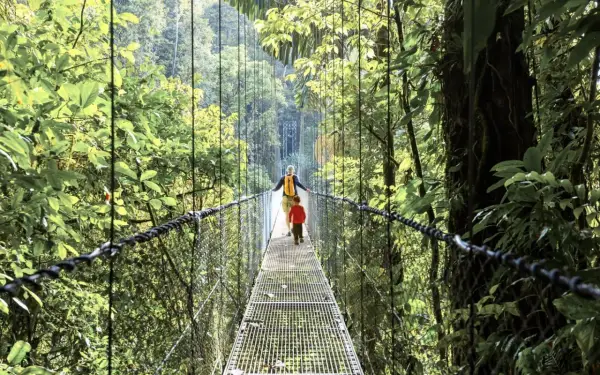 Un adulto y un niño caminan por un puente colgante en la exuberante selva de Costa Rica con niños, disfrutando de la aventura.