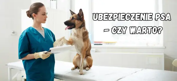Ubezpieczenie psa rasowego: Kiedy to inwestycja, a kiedy wydatek?