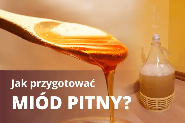 Miód pitny - przepis krok po kroku. Uniknij błędów!