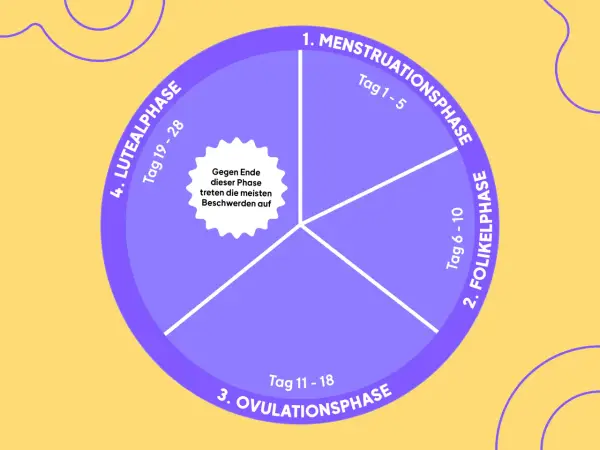 Kreisdiagramm zeigt den weiblichen Zyklus: Menstruation, Follikel-, Ovulations- und Lutealphase. Gegen Ende der Lutealphase treten oft Beschwerden auf.