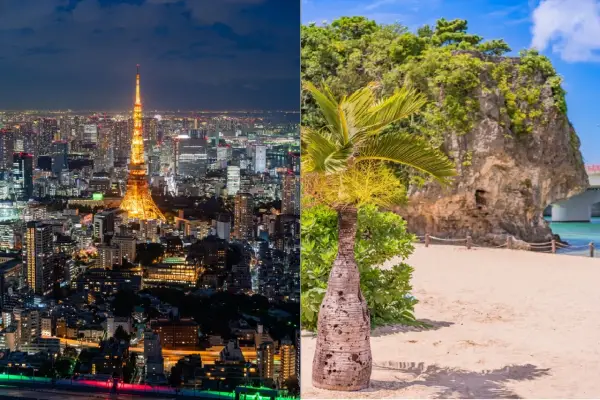 Ile leci się do Tokio z Warszawy? Czas lotu i praktyczne rady