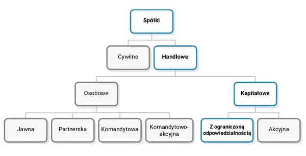 Spółka z ograniczoną odpowiedzialnością co to? Kluczowe informacje i wady