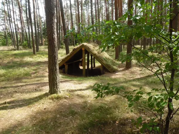 Atrakcje dla dzieci w Borach Tucholskich: 10 pomysłów na rodzinny wypoczynek