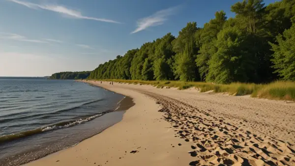 Czy wiesz, że plaża Górki Zachodnie to ukryty skarb Gdańska?