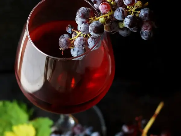 Gorzkie wino domowe? Przyczyny i jak uratować Twój trunek