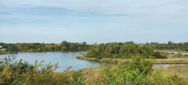 Najlepsze atrakcje w Swarzędzu, które musisz odwiedzić w tym roku