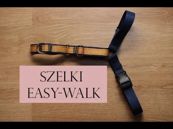 Jak zrobić szelki dla psa w prosty sposób - uniknij najczęstszych błędów