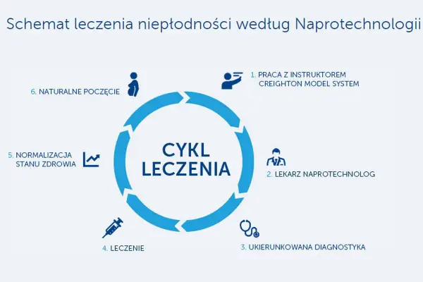 Cykl leczenia niepłodności według naprotechnologii: praca z instruktorem, lekarz naprotechnolog, diagnostyka, leczenie, normalizacja stanu zdrowia i naturalne poczęcie.