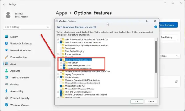 Windows-Einstellungen: "Internet Information Services" (IIS) wird als optionales Feature aktiviert, inklusive FTP und Web-Diensten.