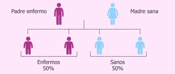 Diagrama de herencia genética: padre enfermo (morado) y madre sana (azul) tienen 50% de hijos enfermos y 50% sanos.