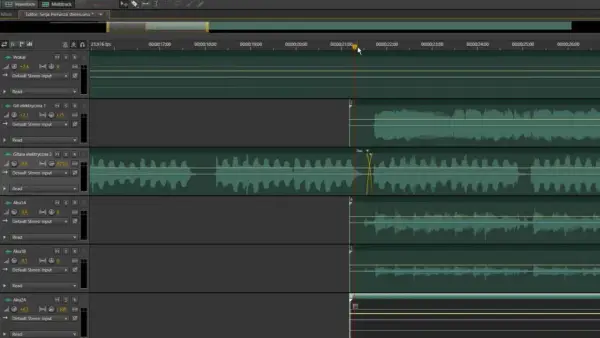Edycja ścieżek w Adobe Audition: wokal, gitary i inne instrumenty. Widok multitrack.