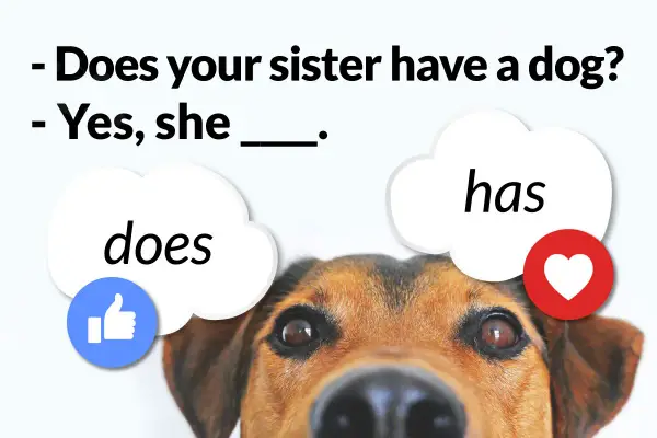 Piesek uczy angielskiego: "Does your sister have a dog?" - "Yes, she has.