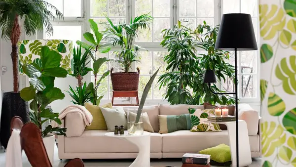 Un salón lleno de vida con muchas plantas, ideal para decorar con plantas el salón y crear un oasis verde.