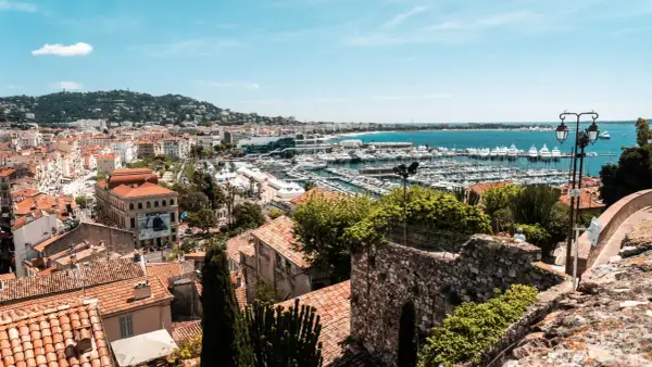 Widok na port w Cannes z licznymi jachtami i budynkami. W oddali wzgórza porośnięte zielenią.