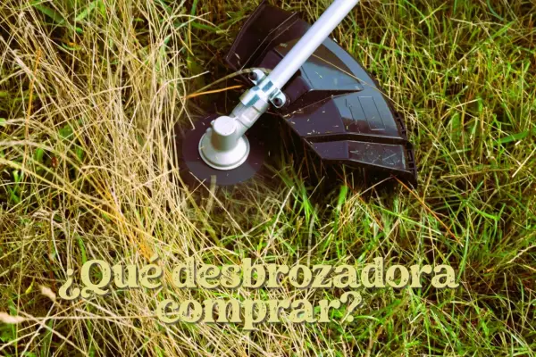 Cabezal de desbrozadora cortando hierba seca y verde. ¿Qué desbrozadora comprar?