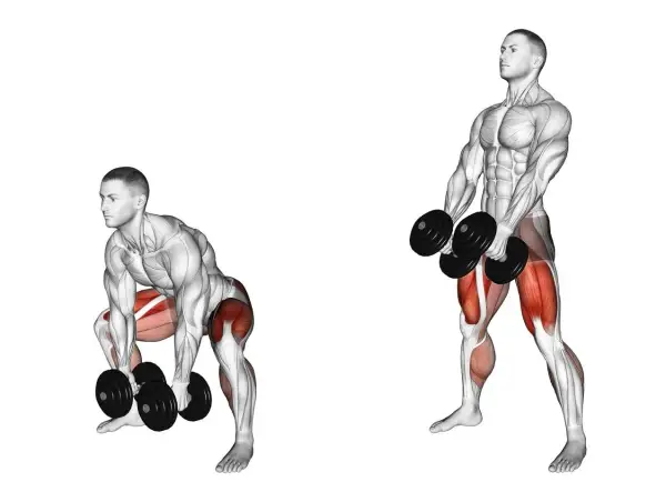 Homme faisant un soulevé de terre roumain avec haltères, ciblant le muscler interieur cuisse.