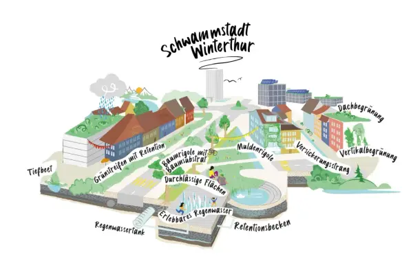 Winterthur als Schwammstadt: Gründächer, Baumrigolen, Mulden und Retentionsbecken speichern Regenwasser.