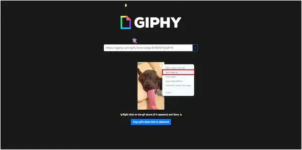 Prosty sposób jak pobrać gif z każdej strony w 3 krokach - szybki poradnik