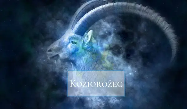 Horoskop Koziorożec 2026 - Rok porządkowania życia