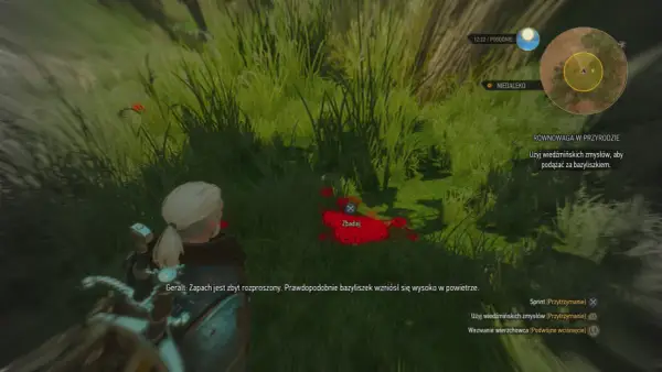 Geralt bada ślady bazyliszka, szukając go w trawie. Wiedźmińskie zmysły pomogą odnaleźć stworzenie, przywracając równowaga w przyrodzie.