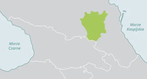 Gdzie leży Czeczenia? Położenie, granice i status republiki