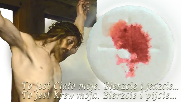 Cuda eucharystyczne - co mówią o realnej obecności?