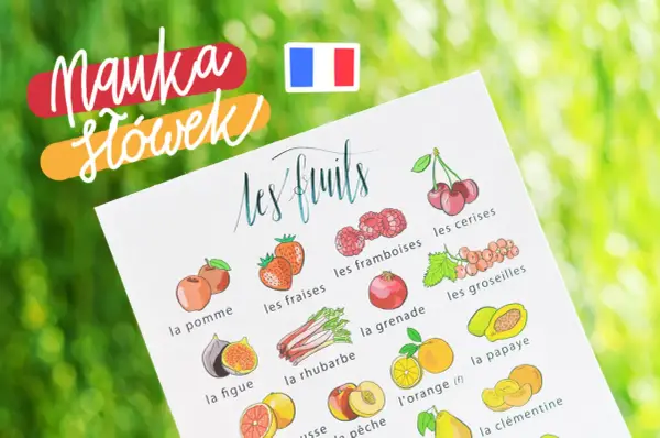 Nauka słówek po francusku: ilustrowana karta z owocami, m.in. jabłka, truskawki, maliny, wiśnie, granat, agrest, figi, rabarbar, pomarańcze, papaja, brzoskwinie, mandarynki.