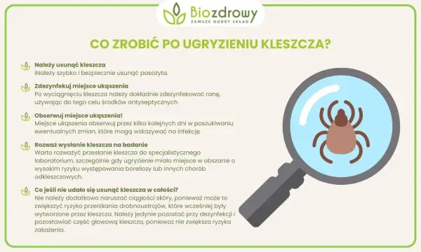 Jakie badania wykonać po ugryzieniu kleszcza, by uniknąć groźnych chorób?