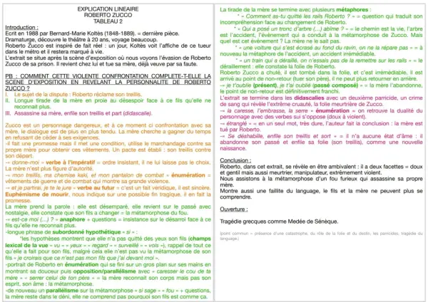 Résumé par chapitre de Roberto Zucco : la mère, face à son fils métamorphosé, le confronte avant d'être assassinée. Le texte analyse cette confrontation et la folie de Roberto.