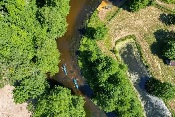 Dwie kajaki płynące rzeką wśród zieleni. To wspaniałe **kociewie atrakcje** dla miłośników przyrody i aktywnego wypoczynku.
