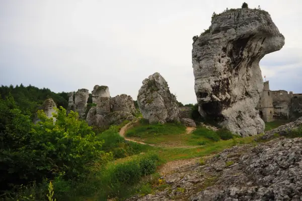 Skały wapienne na Jurze Krakowsko-Częstochowskiej, z ruinami zamku w tle.