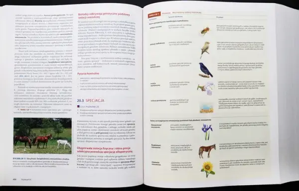 Biologia Villego czy Campbella - który podręcznik wybrać i dlaczego?