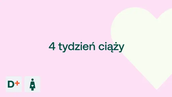 4 tydzień ciąży usg co widać. Na jasnoróżowym tle, z boku serce, tekst "4 tydzień ciąży", ikony D+ i kobiety w ciąży.