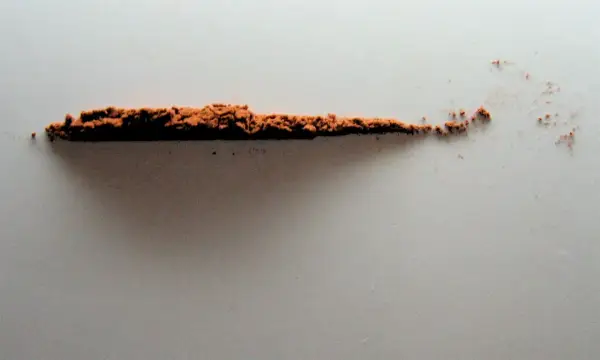 Polvo de cacao puro, un tesoro natural que revela sus beneficios.