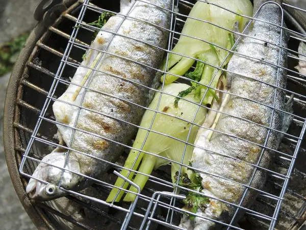 Trois truites entières sur un grill, accompagnées de fenouil, prêtes pour une recette truite barbecue.