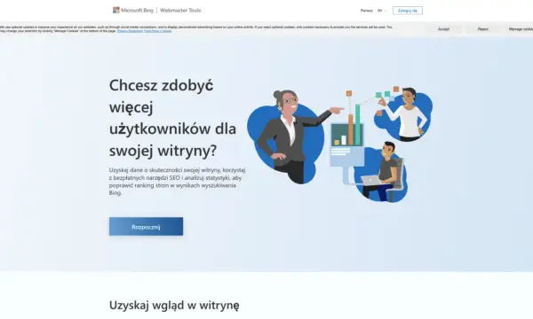 Bing Webmaster Tools - Domena: Weryfikacja i analiza SEO