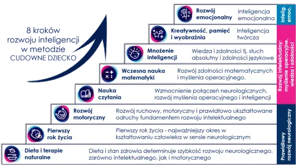 Schemat 8 kroków rozwoju inteligencji dziecka: od rozwoju motorycznego po dietę i terapie.