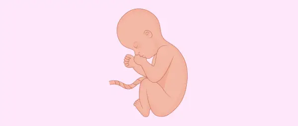 Feto in posizione fetale, con le mani sul viso, pronto per le ferie durante l'ottavo mese di gravidanza.